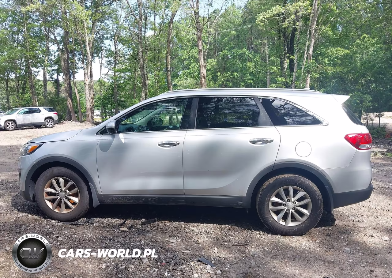 2016 Kia Sorento 3.3L Lx VIN:5XYPG4A58GG120404 - 14