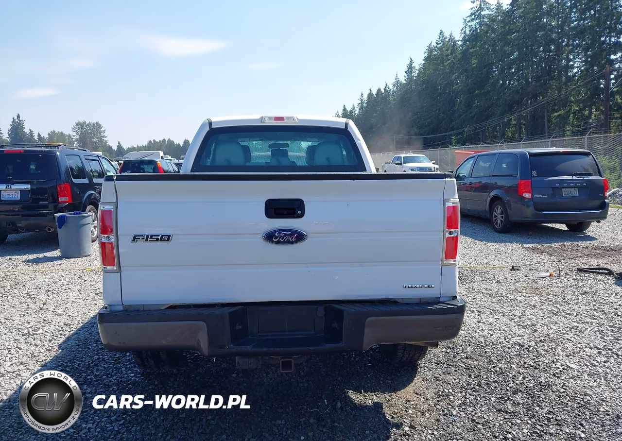 2014 Ford F-150 Stx-Xl-Xlt VIN:1FTEX1EMXEFA95271 - 16