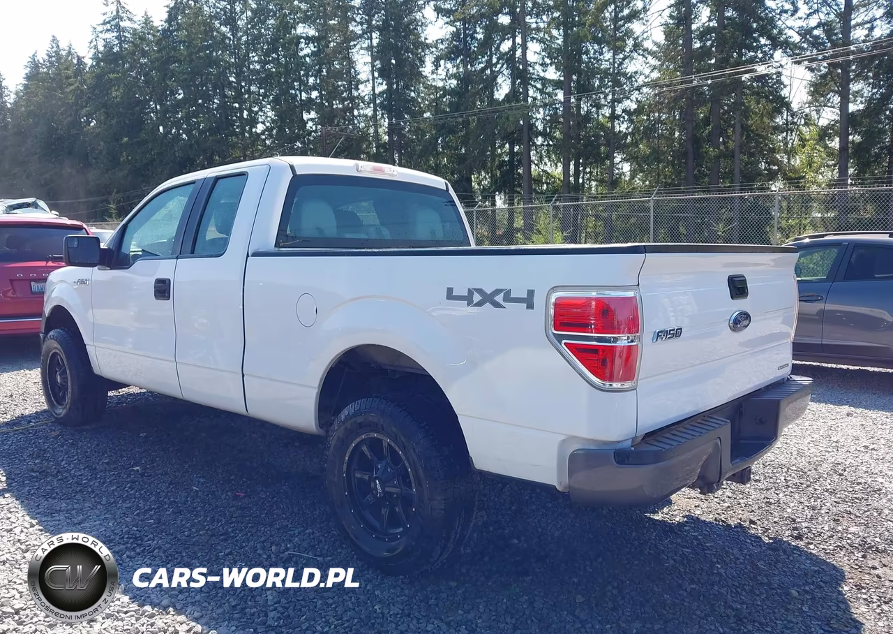 2014 Ford F-150 Stx-Xl-Xlt VIN:1FTEX1EMXEFA95271 - 3