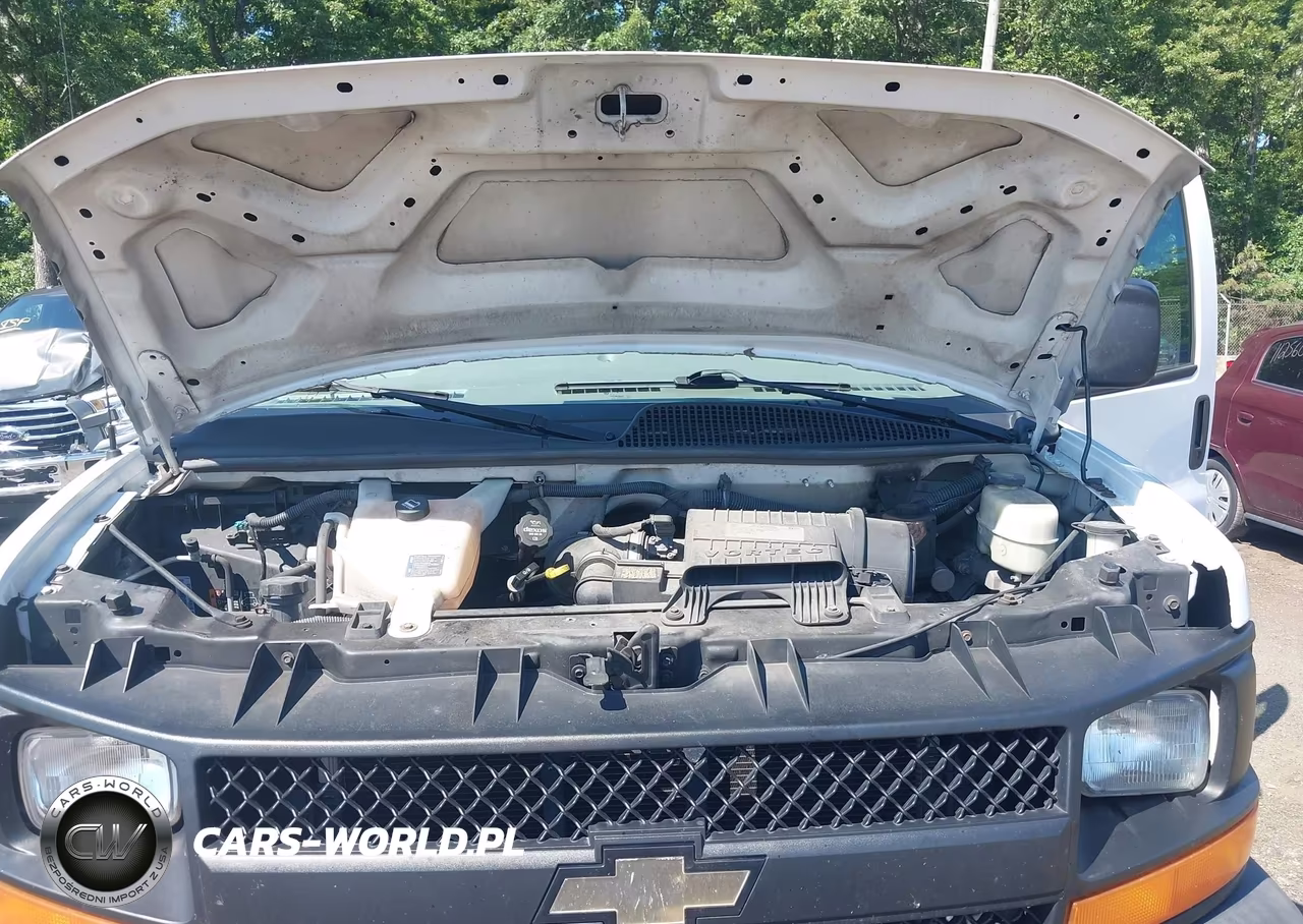 CHEVROLET EXPRESS 2500 VIN:1GCWGAFF2H1133906 - 10