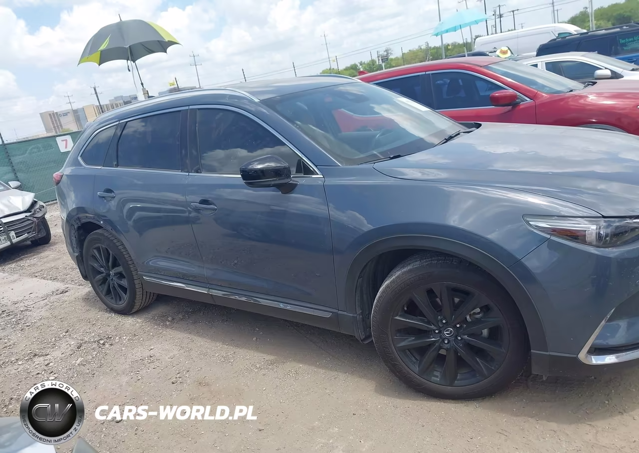2021 Mazda Cx-9 Carbon Edition VIN:JM3TCADY6M0511462 - 13