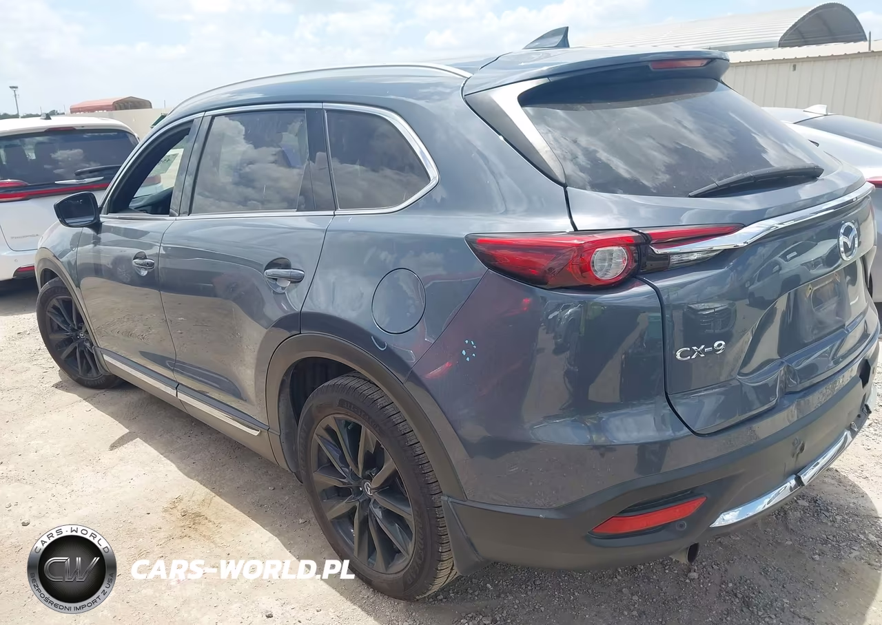 2021 Mazda Cx-9 Carbon Edition VIN:JM3TCADY6M0511462 - 3
