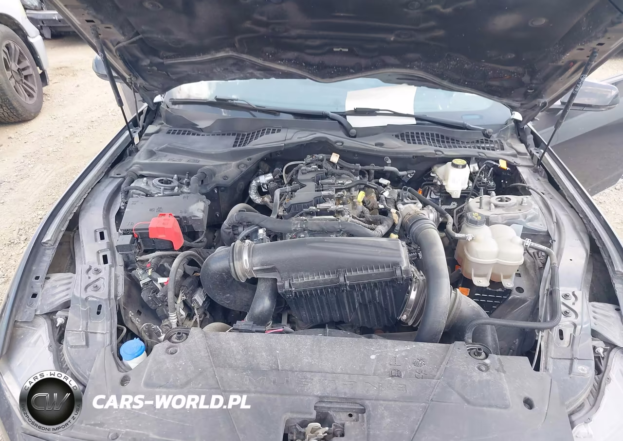2024 Ford Mustang Ecoboost Premium Fastback VIN:1FA6P8TH2R5118157 - 10