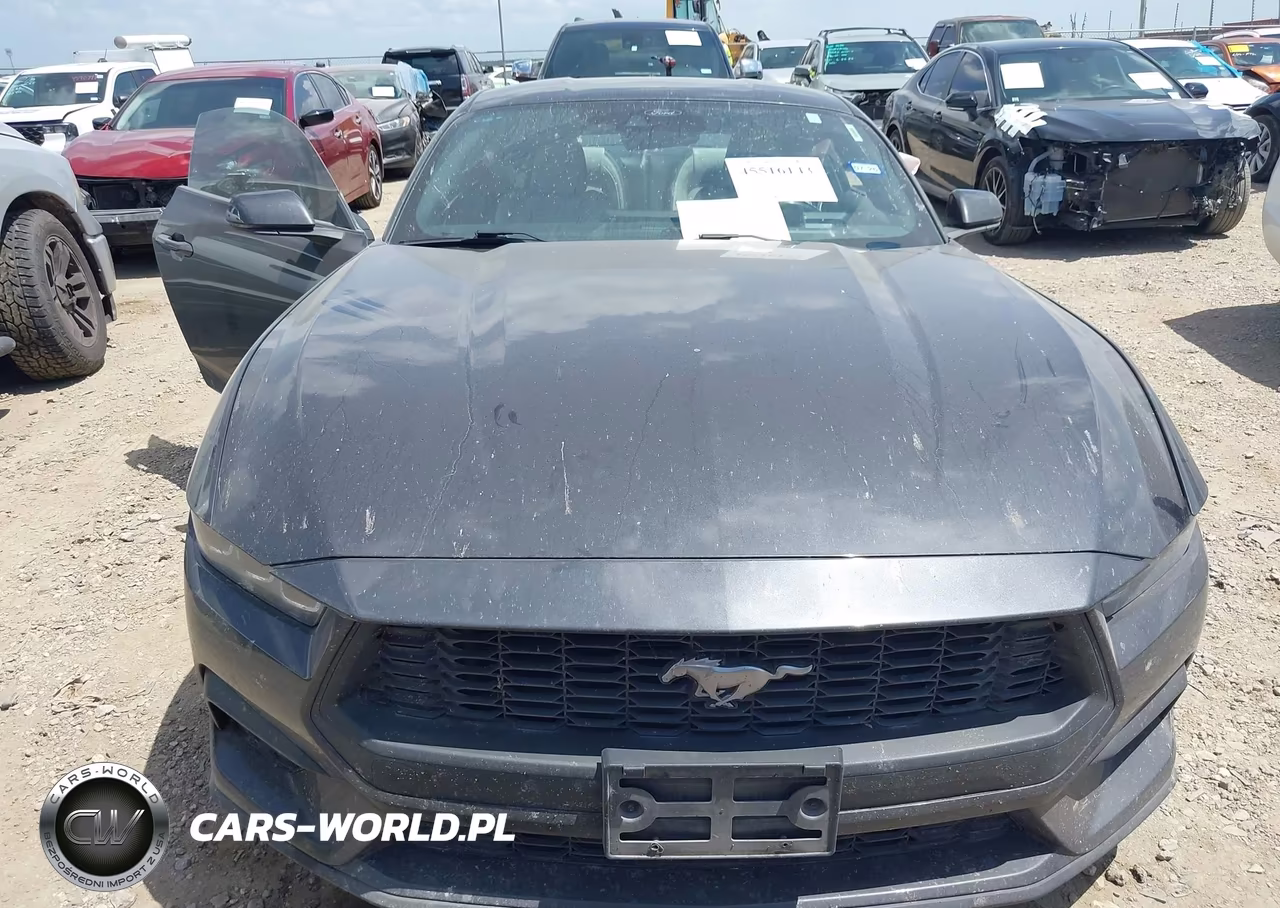 2024 Ford Mustang Ecoboost Premium Fastback VIN:1FA6P8TH2R5118157 - 12