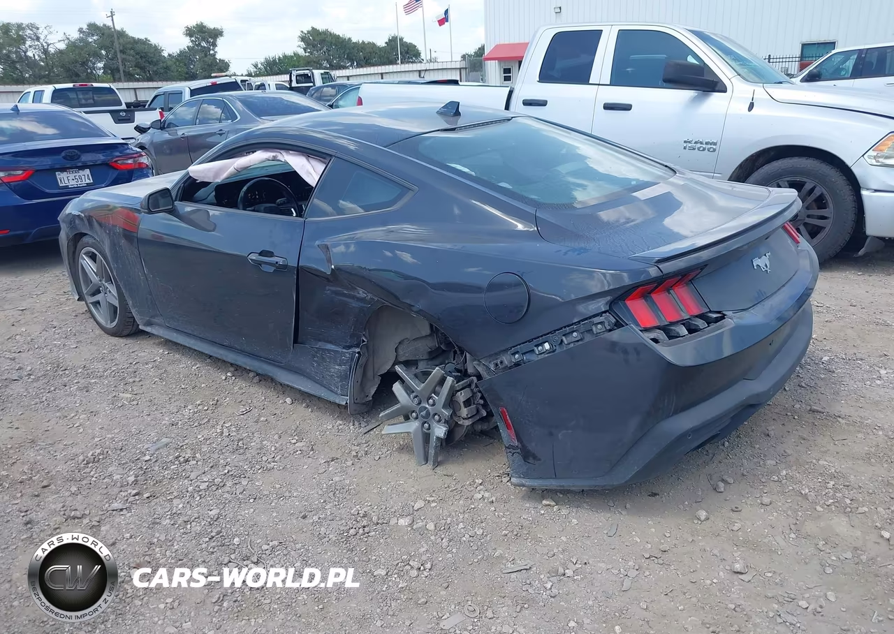 2024 Ford Mustang Ecoboost Premium Fastback VIN:1FA6P8TH2R5118157 - 3