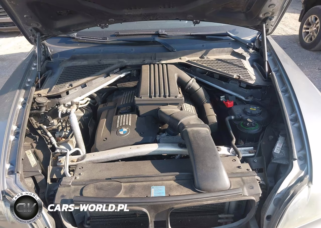 2009 BMW X5 xDrive30I VIN:5UXFE435X9L273287 - 10