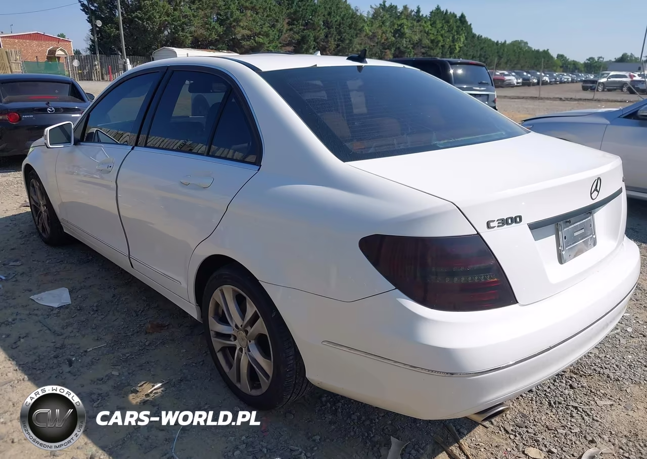 2013 Mercedes-Benz C 300 Luxury 4Matic VIN:WDDGF8AB2DR287232 - 3