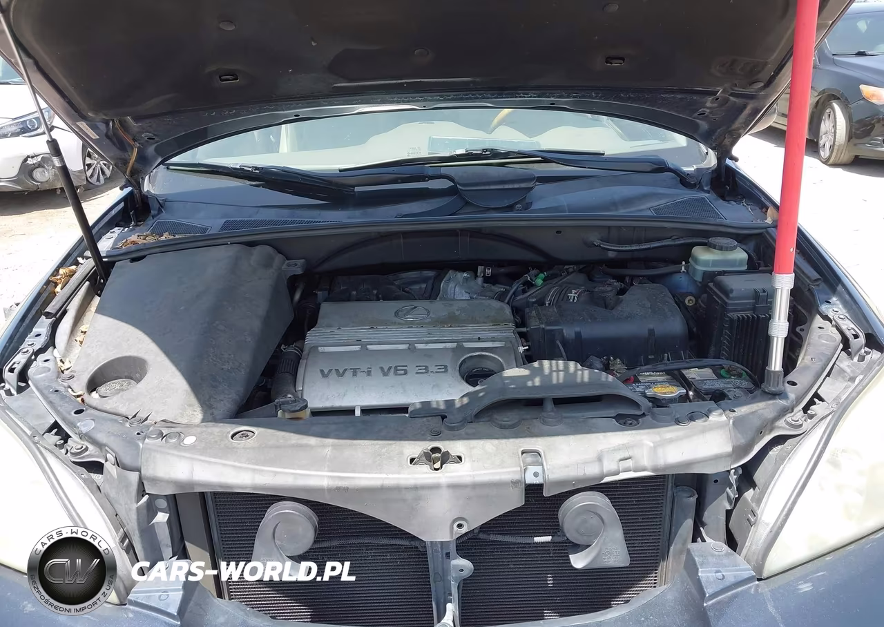 2004 Lexus Rx 330 VIN:JTJGA31U740008761 - 10