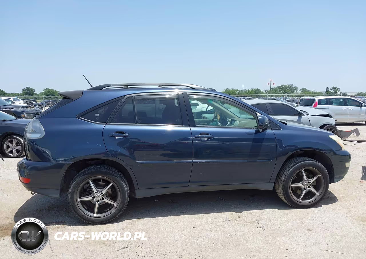 2004 Lexus Rx 330 VIN:JTJGA31U740008761 - 13