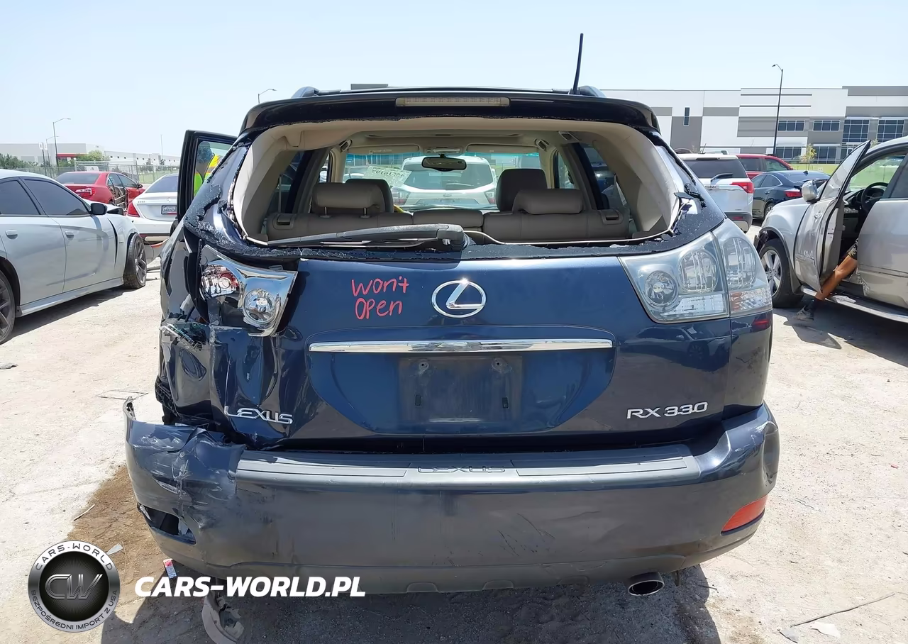 2004 Lexus Rx 330 VIN:JTJGA31U740008761 - 16