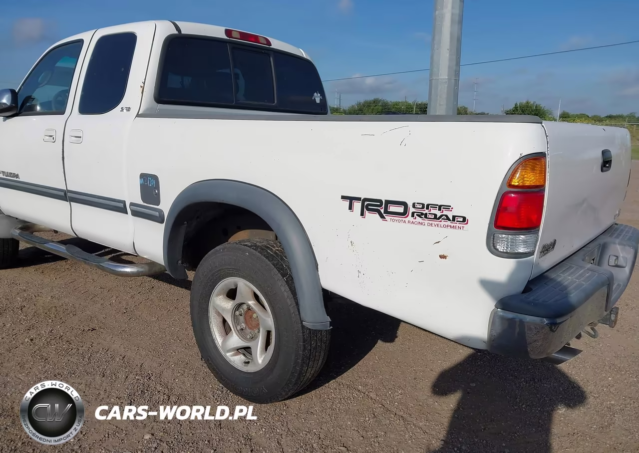 2002 Toyota Tundra Access Cab-Access Cab Sr5 VIN:5TBRT34152S285659 - 6