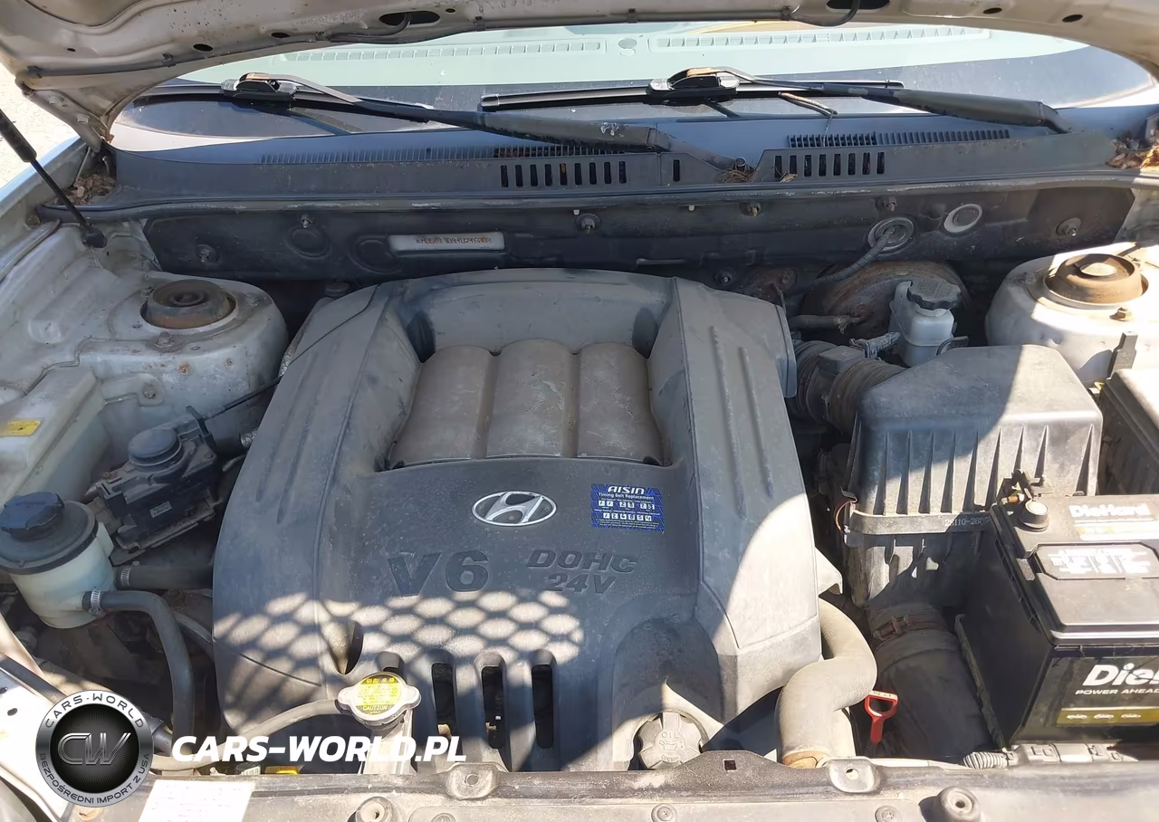 2004 Hyundai Santa Fe Gls VIN:KM8SC13D94U746008 - 10
