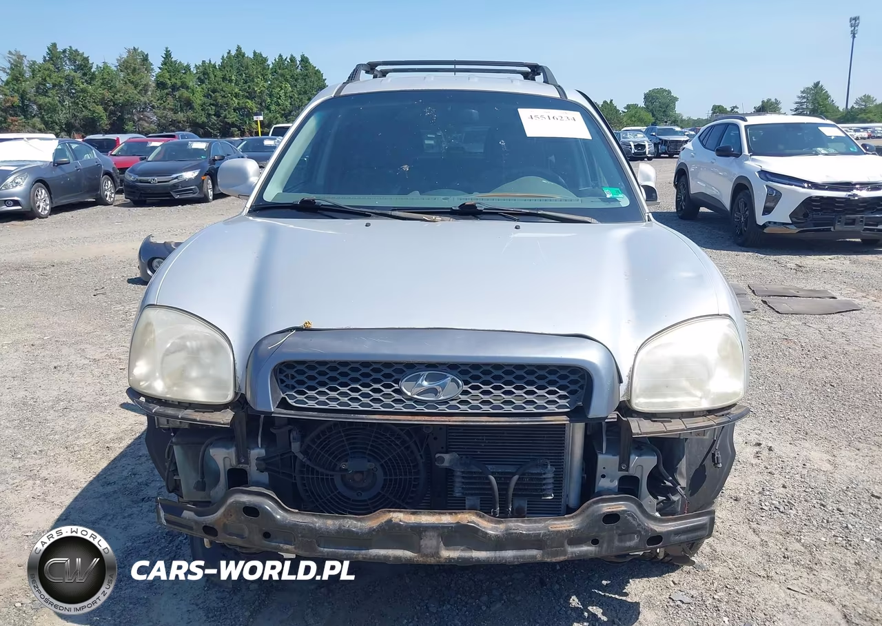 2004 Hyundai Santa Fe Gls VIN:KM8SC13D94U746008 - 13