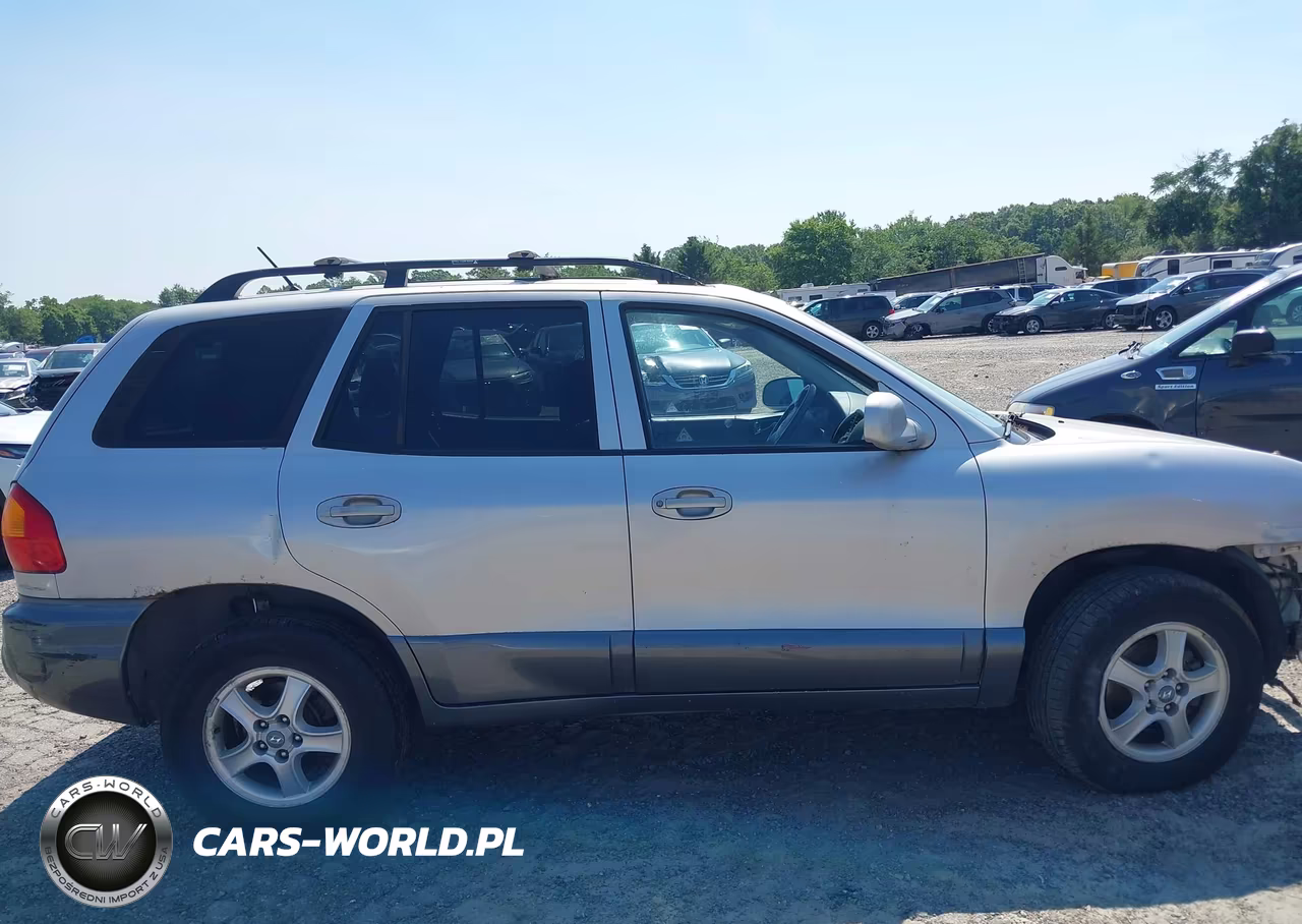 2004 Hyundai Santa Fe Gls VIN:KM8SC13D94U746008 - 14