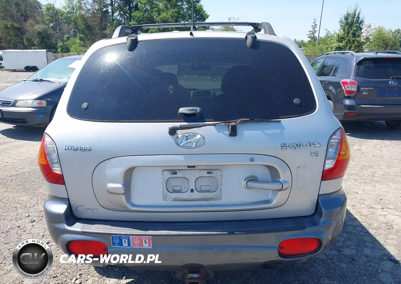 2004 Hyundai Santa Fe Gls VIN:KM8SC13D94U746008 - 17