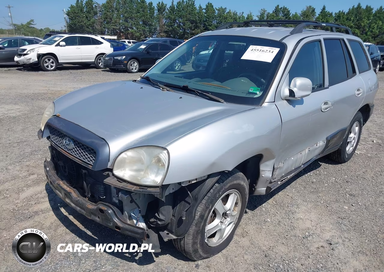 2004 Hyundai Santa Fe Gls VIN:KM8SC13D94U746008 - 2