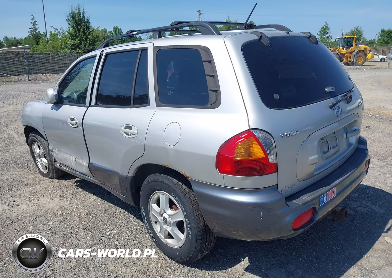2004 Hyundai Santa Fe Gls VIN:KM8SC13D94U746008 - 3