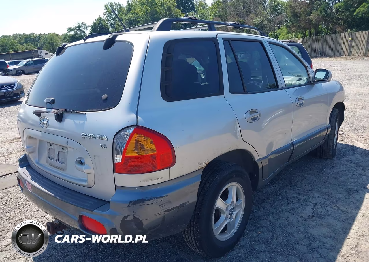 2004 Hyundai Santa Fe Gls VIN:KM8SC13D94U746008 - 4