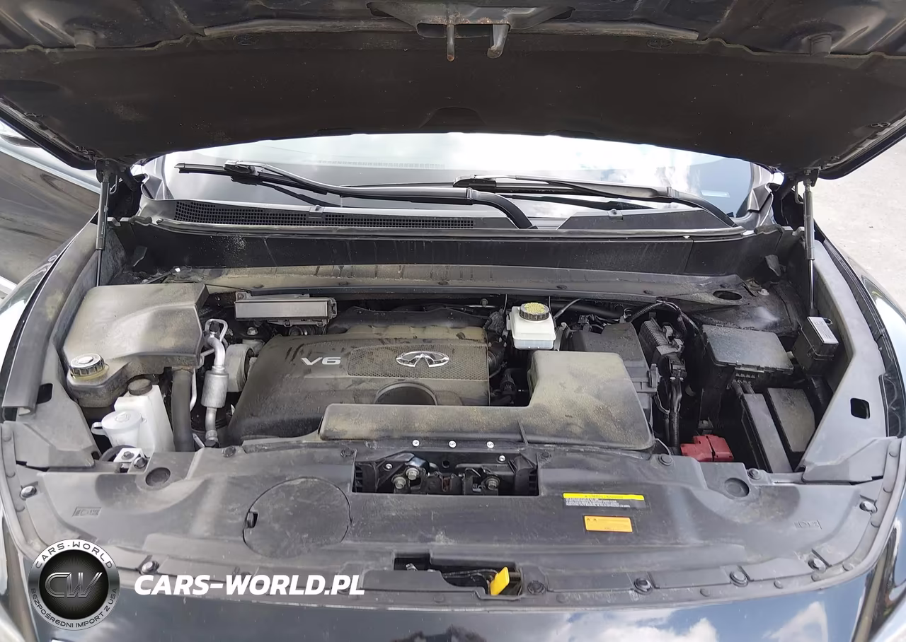 2019 Infiniti Qx60 Luxe VIN:5N1DL0MM7KC530338 - 10