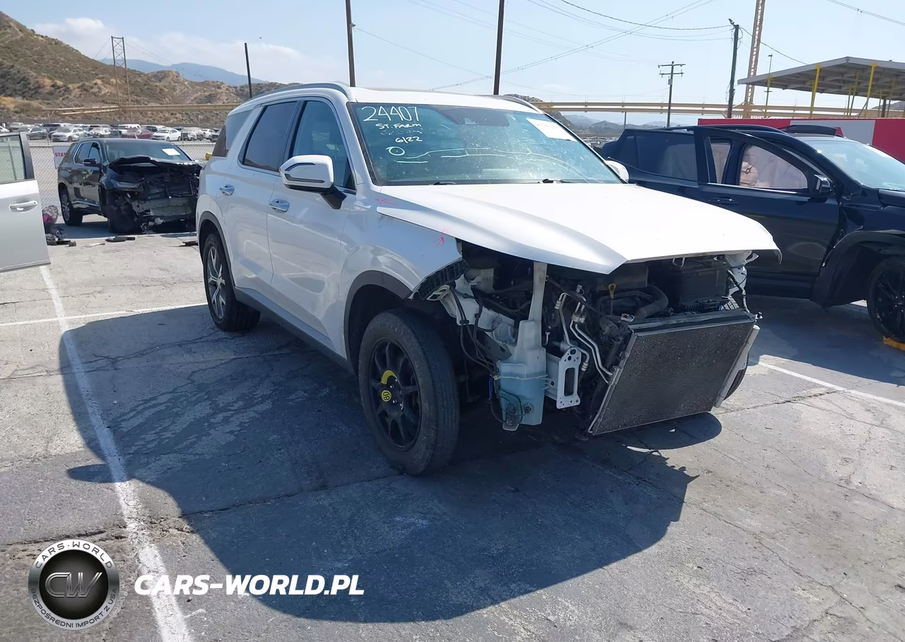 2020 Hyundai Palisade Sel