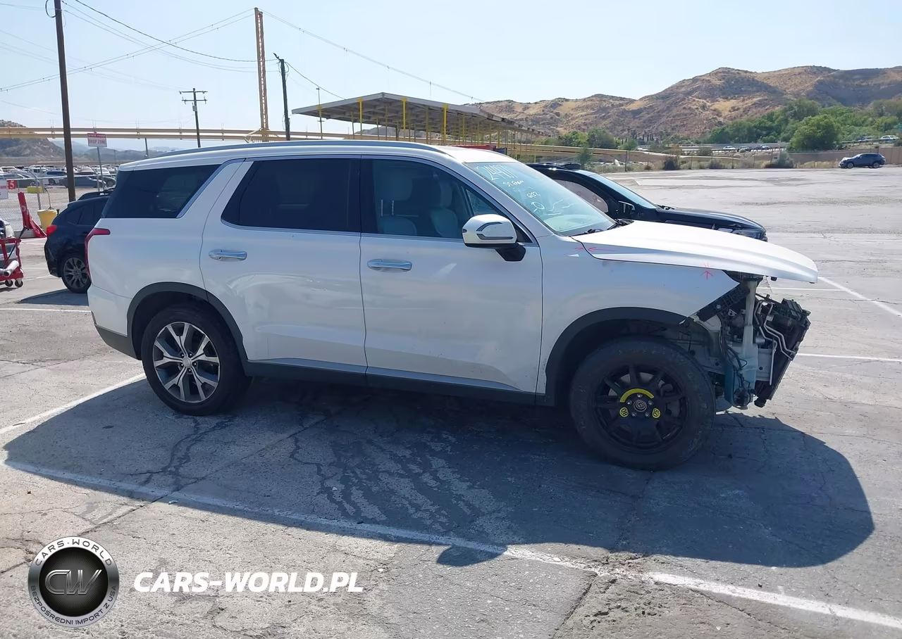 2020 Hyundai Palisade Sel VIN:KM8R34HE7LU128251 - 14
