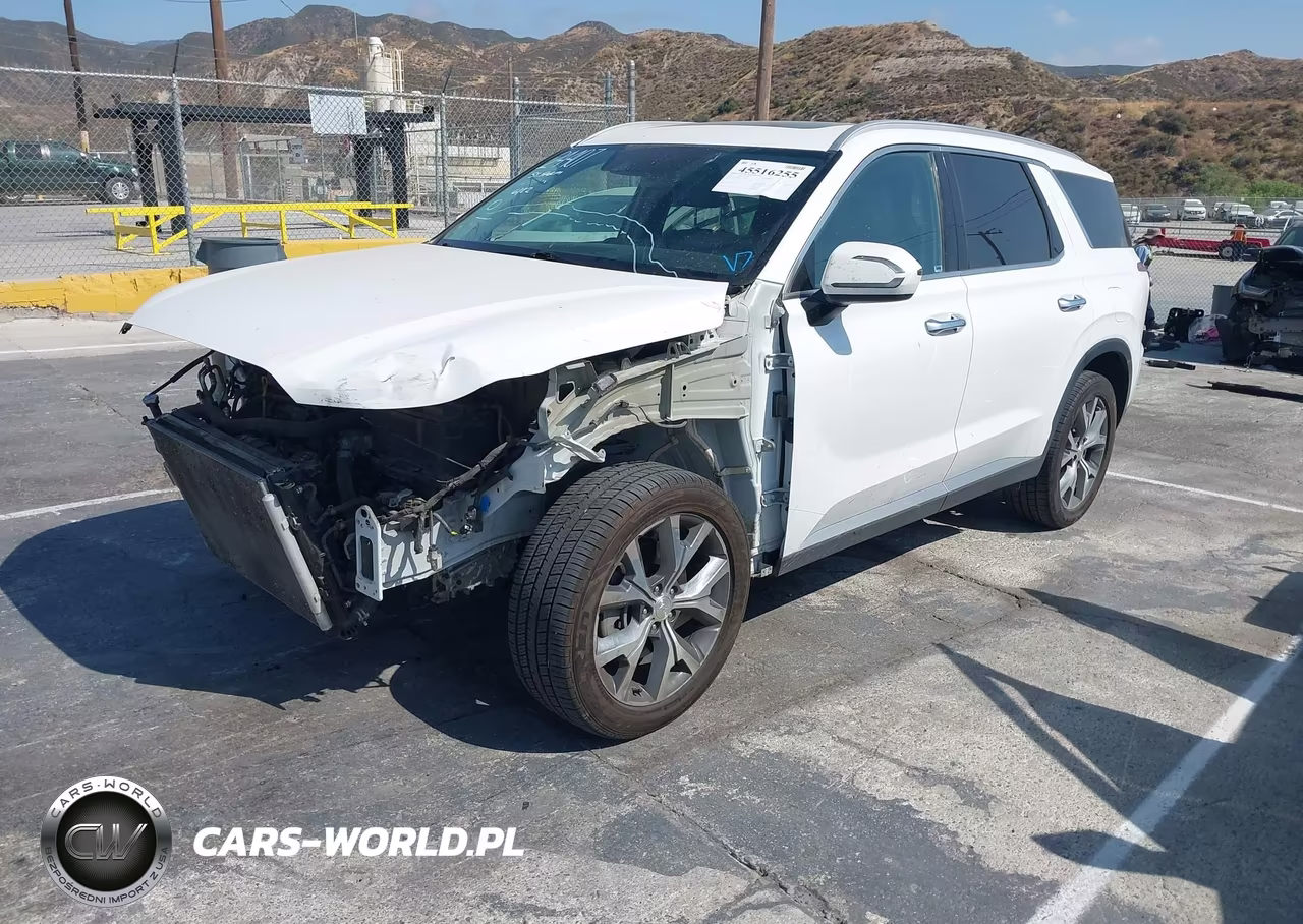 2020 Hyundai Palisade Sel VIN:KM8R34HE7LU128251 - 2