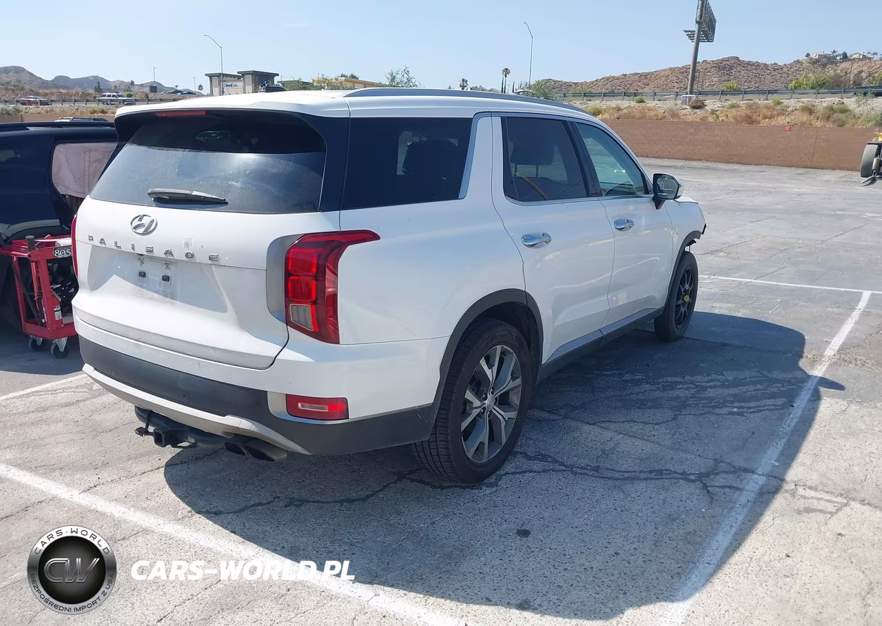 2020 Hyundai Palisade Sel VIN:KM8R34HE7LU128251 - 4