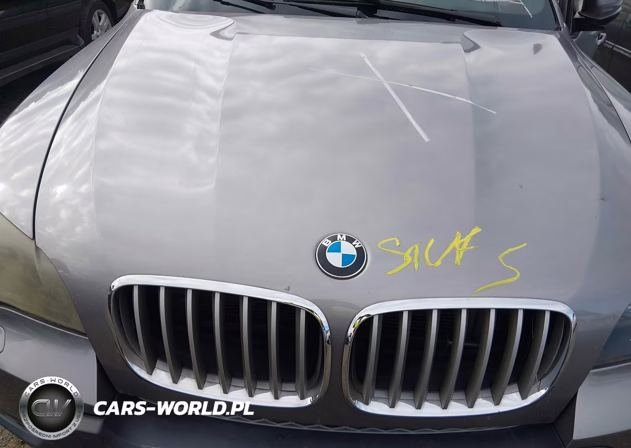 2007 BMW X5 4.8I VIN:5UXFE83577LZ45715 - 10