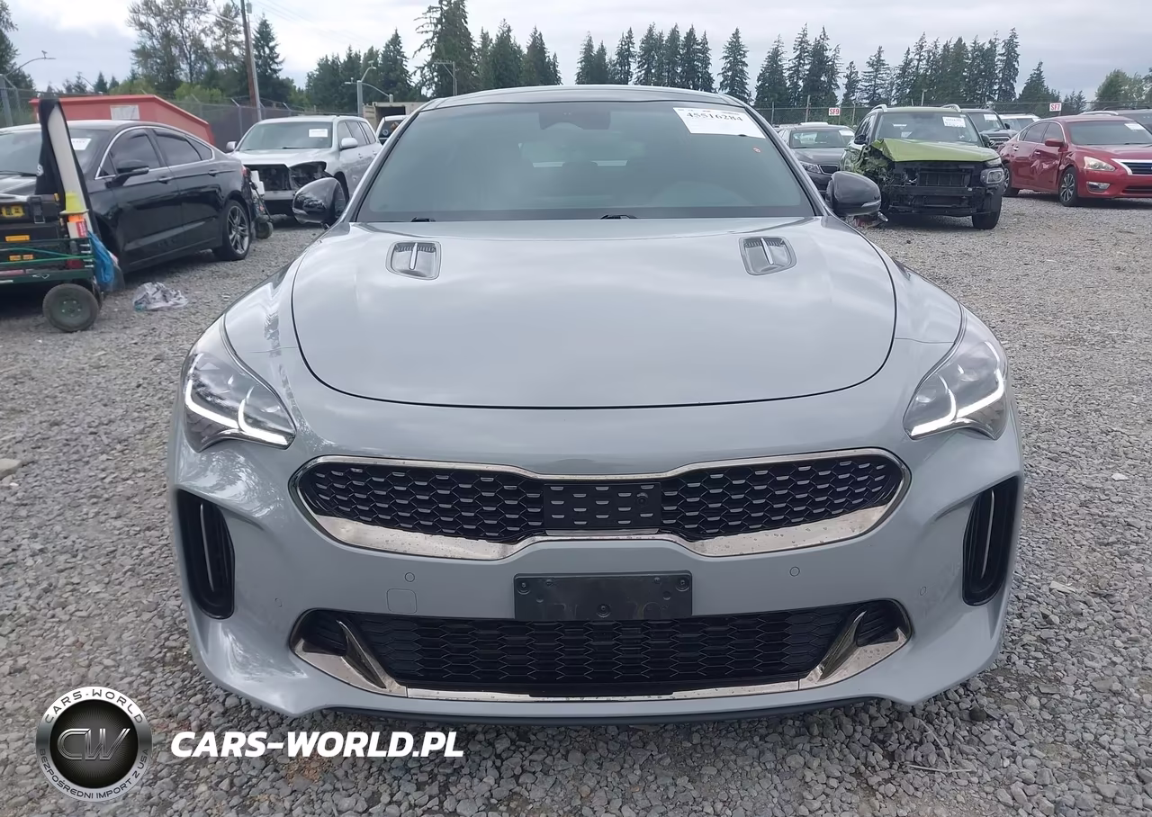 2023 Kia Stinger Gt2 VIN:KNAE55LC6P6123199 - 13