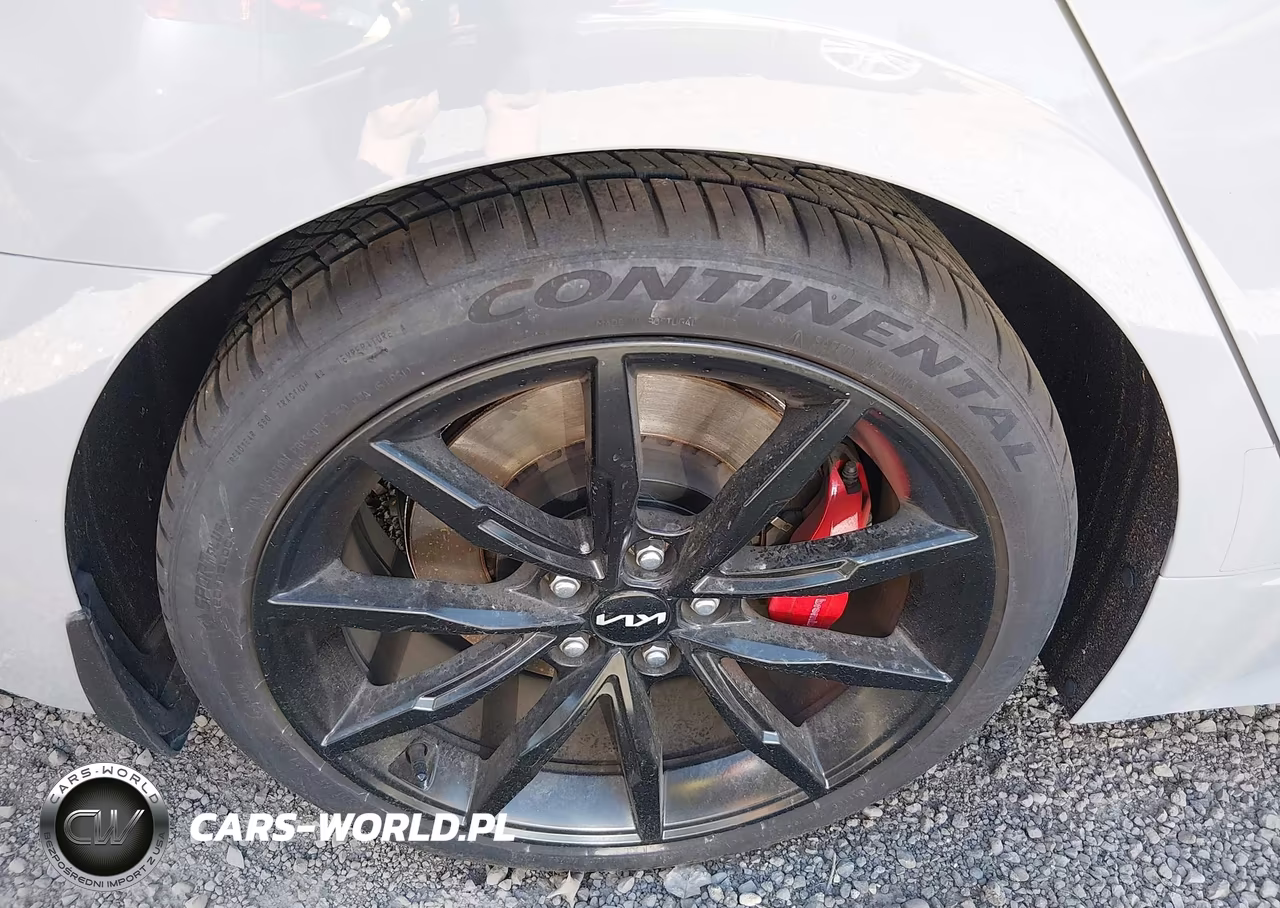 2023 Kia Stinger Gt2 VIN:KNAE55LC6P6123199 - 21