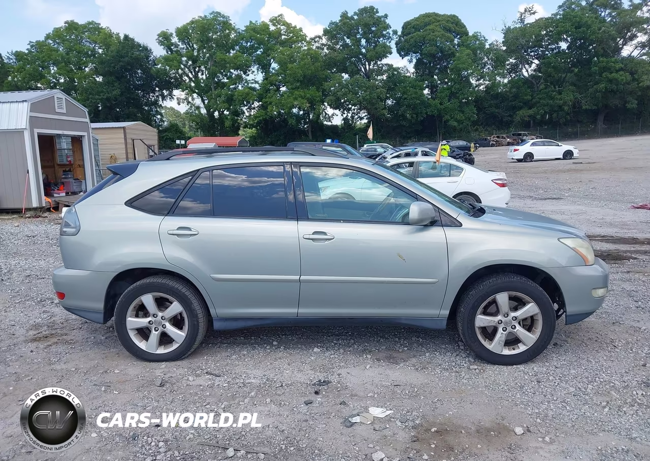 2004 Lexus Rx 330 VIN:JTJGA31U140012174 - 13
