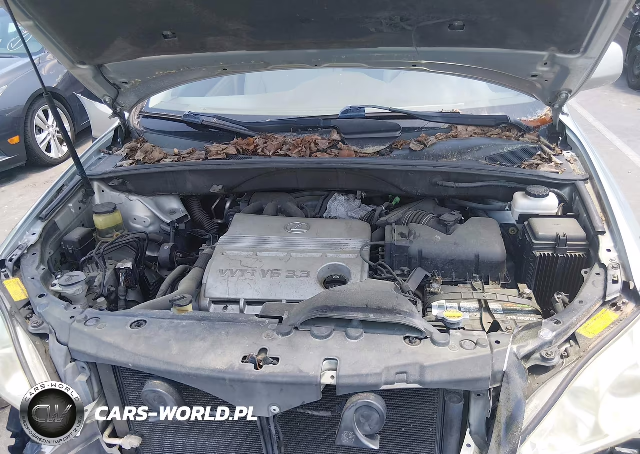 2005 Lexus Rx 330 VIN:2T2GA31U95C032601 - 10