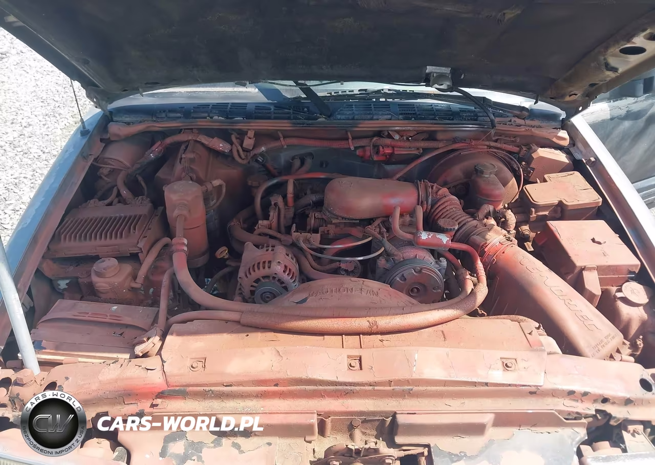 1999 Chevrolet Blazer Ls VIN:1GNCS13W1X2168796 - 10