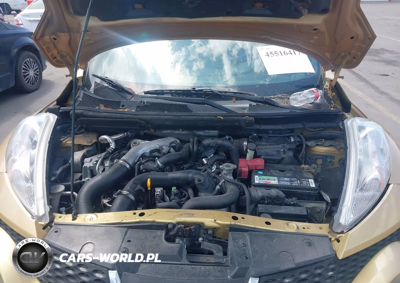 2013 Nissan Juke Nismo-S-Sl-Sv VIN:JN8AF5MV1DT216311 - 10