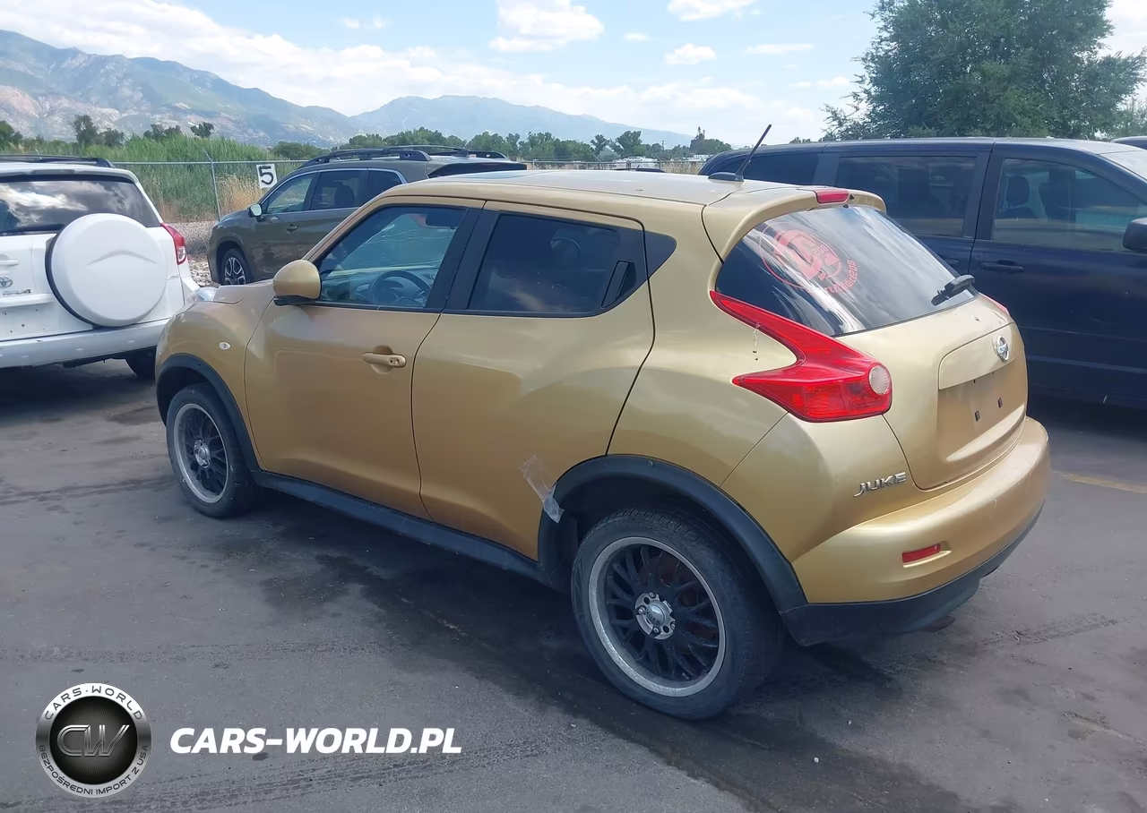 2013 Nissan Juke Nismo-S-Sl-Sv VIN:JN8AF5MV1DT216311 - 3