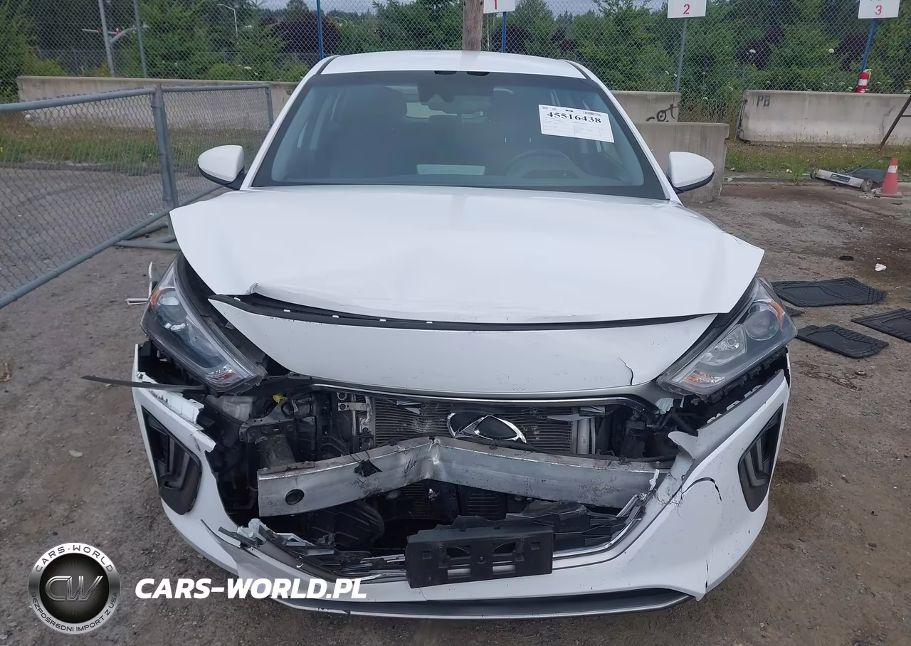 2020 Hyundai Ioniq Hybrid Se VIN:KMHC75LC4LU235831 - 12
