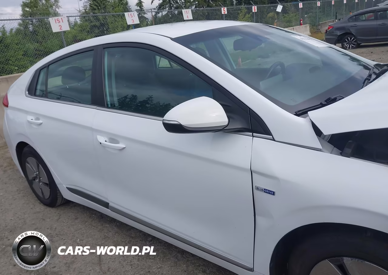 2020 Hyundai Ioniq Hybrid Se VIN:KMHC75LC4LU235831 - 13