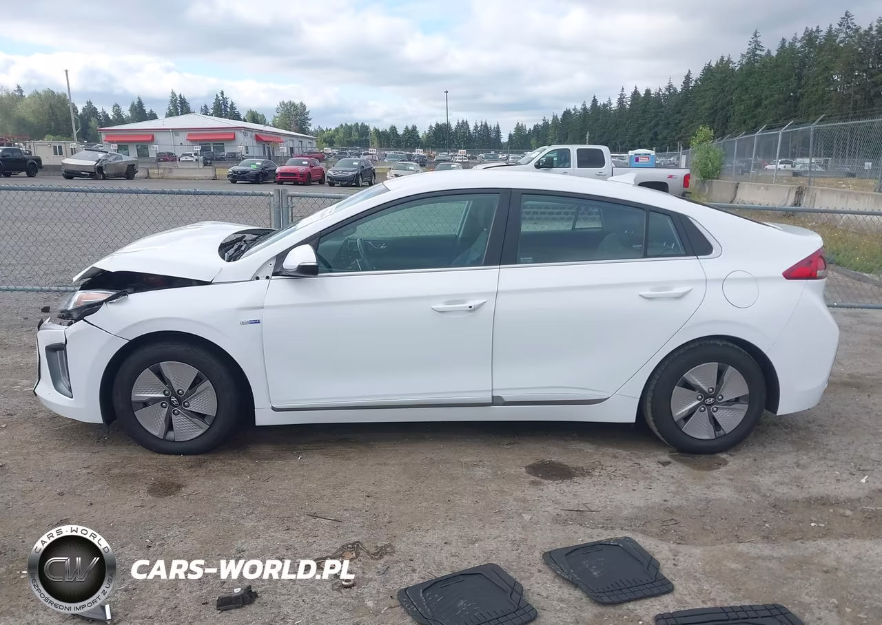 2020 Hyundai Ioniq Hybrid Se VIN:KMHC75LC4LU235831 - 14