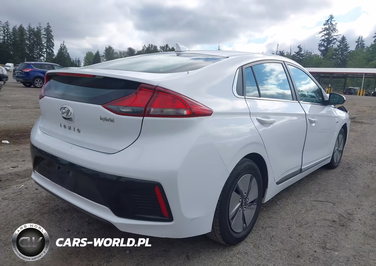 2020 Hyundai Ioniq Hybrid Se VIN:KMHC75LC4LU235831 - 4