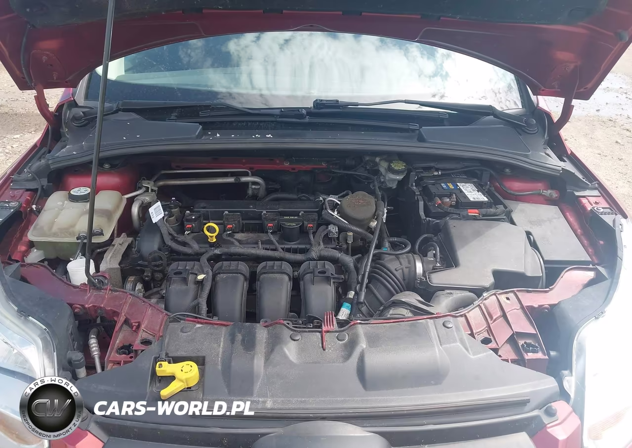 2013 Ford Focus Se VIN:1FADP3F20DL274512 - 10