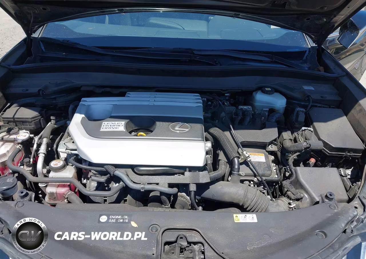 2021 Lexus Ux 250H F Sport VIN:JTHE9JBH0M2049728 - 10