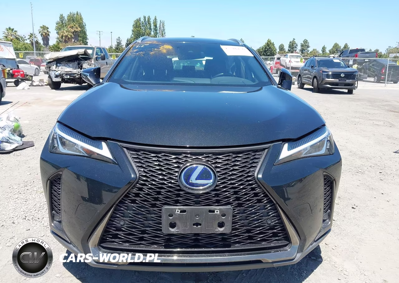 2021 Lexus Ux 250H F Sport VIN:JTHE9JBH0M2049728 - 12