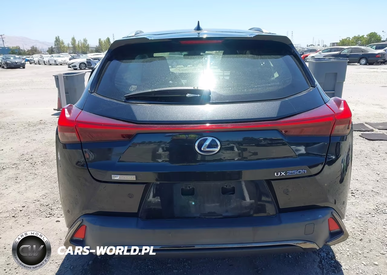 2021 Lexus Ux 250H F Sport VIN:JTHE9JBH0M2049728 - 16