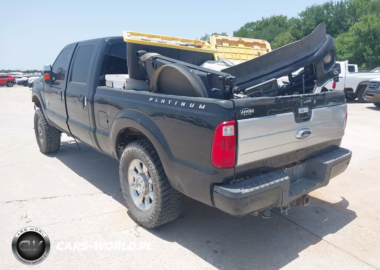 2013 Ford Super Duty F-250 Srw Platinum VIN:1FT7W2BT6DEA03011 - 3