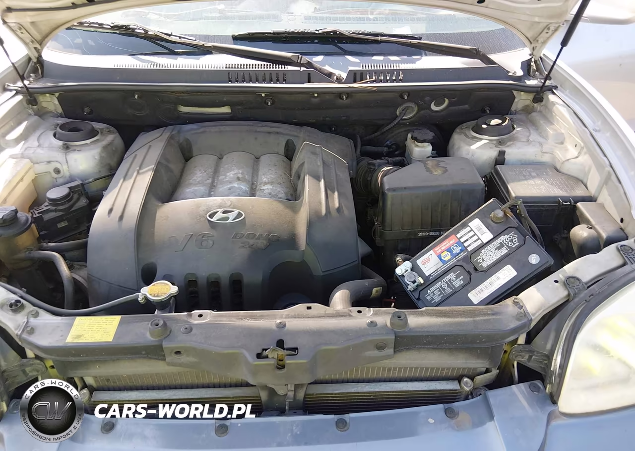 2004 Hyundai Santa Fe Gls VIN:KM8SC13D54U817172 - 10