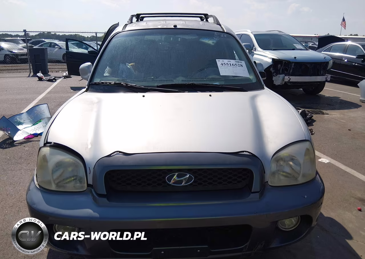 2004 Hyundai Santa Fe Gls VIN:KM8SC13D54U817172 - 11
