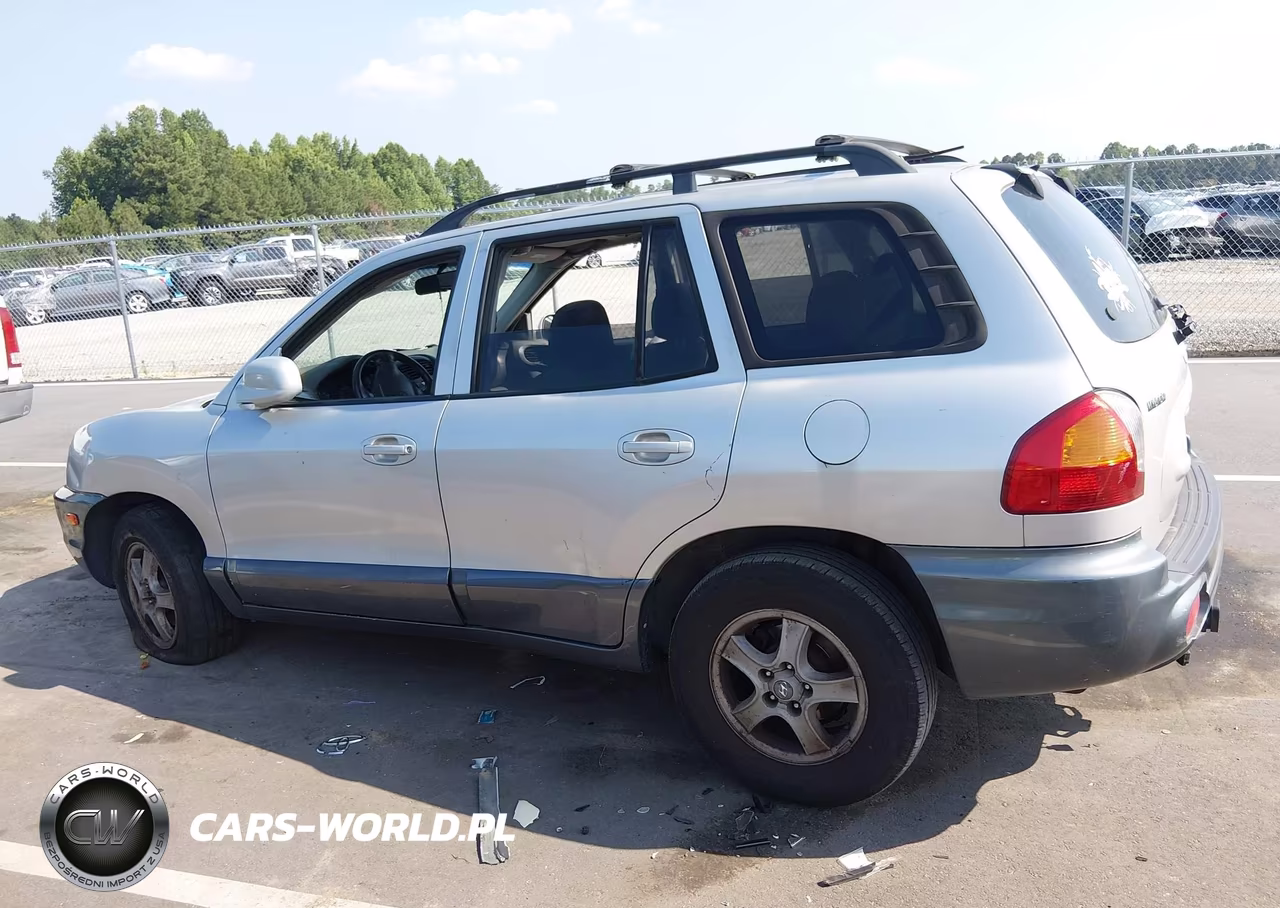 2004 Hyundai Santa Fe Gls VIN:KM8SC13D54U817172 - 13