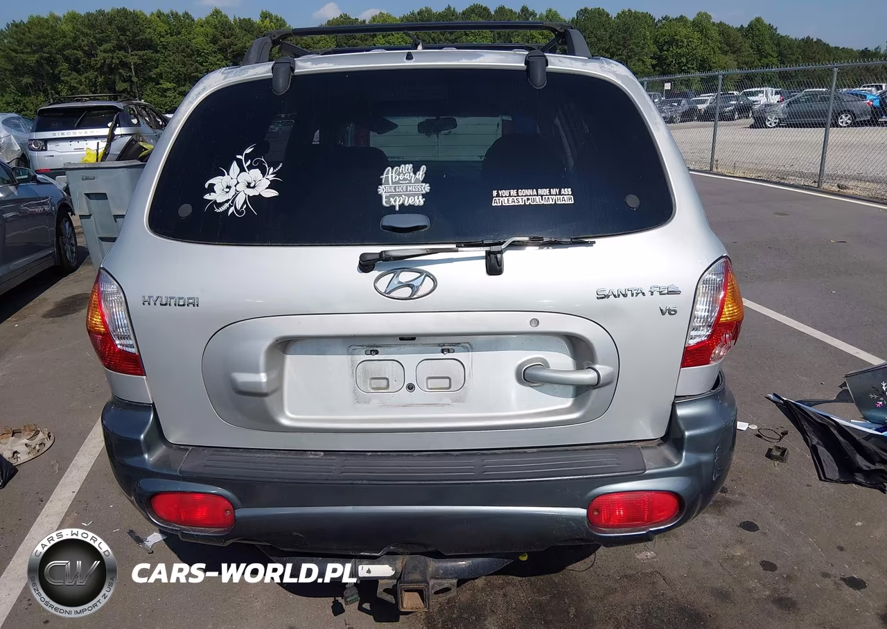 2004 Hyundai Santa Fe Gls VIN:KM8SC13D54U817172 - 15