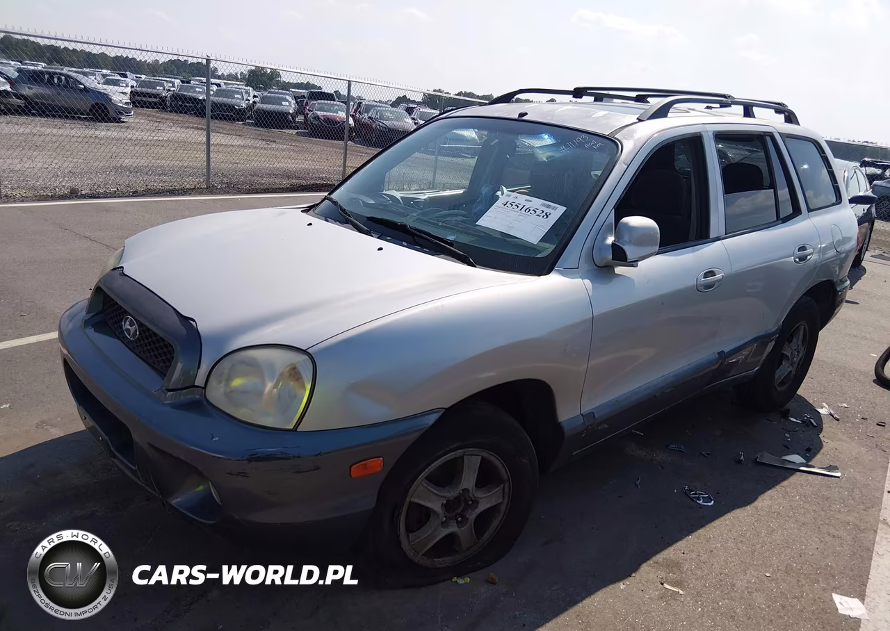 2004 Hyundai Santa Fe Gls VIN:KM8SC13D54U817172 - 2
