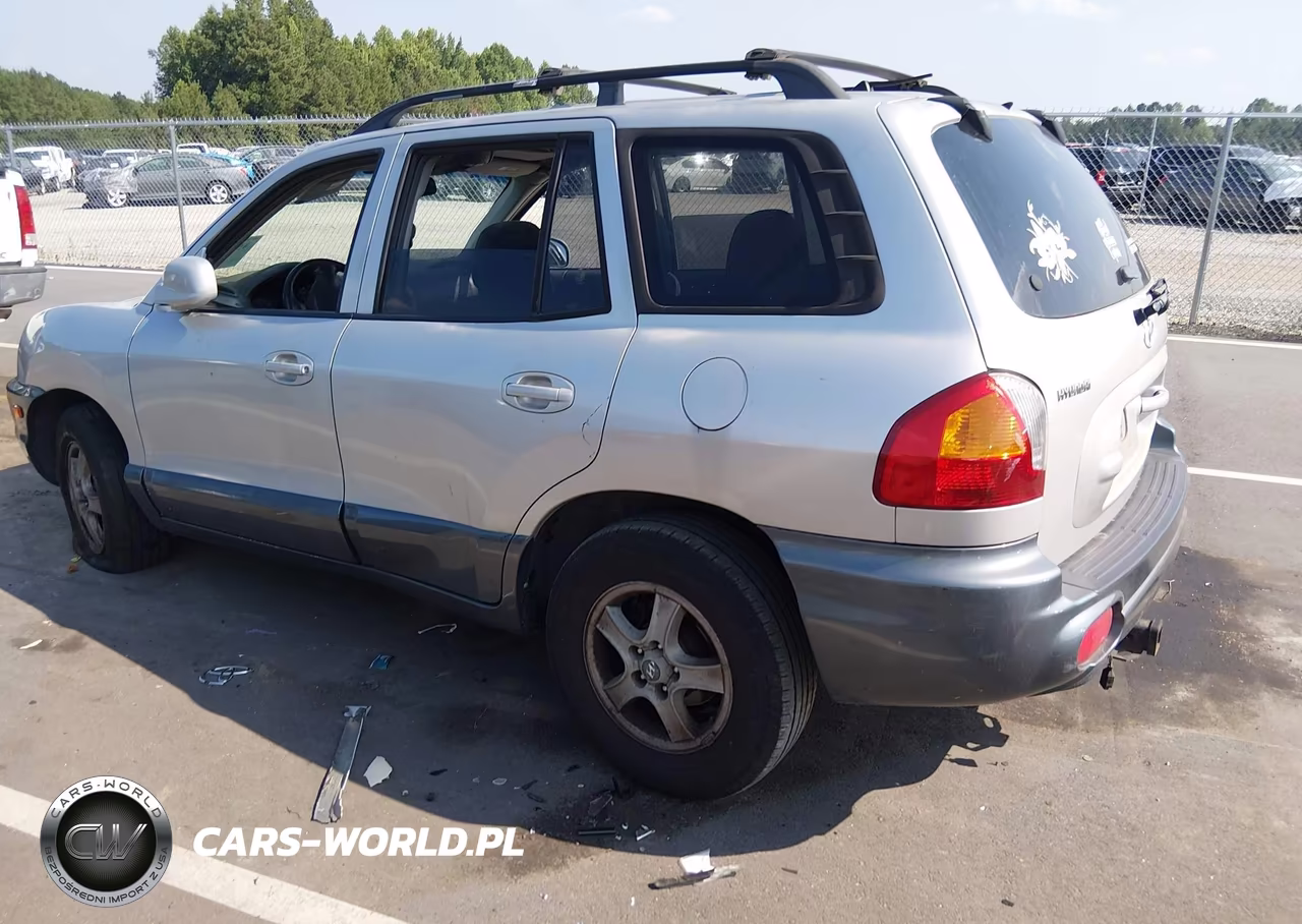 2004 Hyundai Santa Fe Gls VIN:KM8SC13D54U817172 - 3
